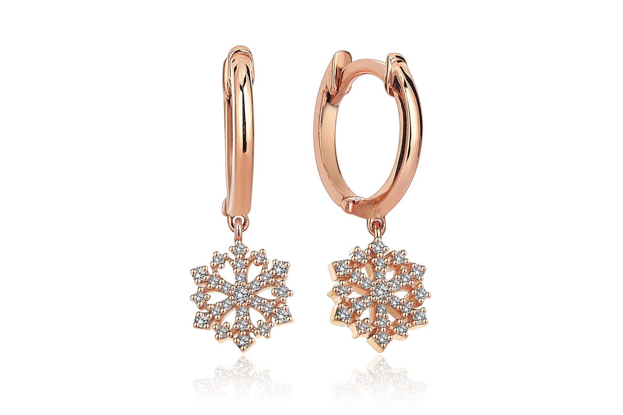 25413 Earrings