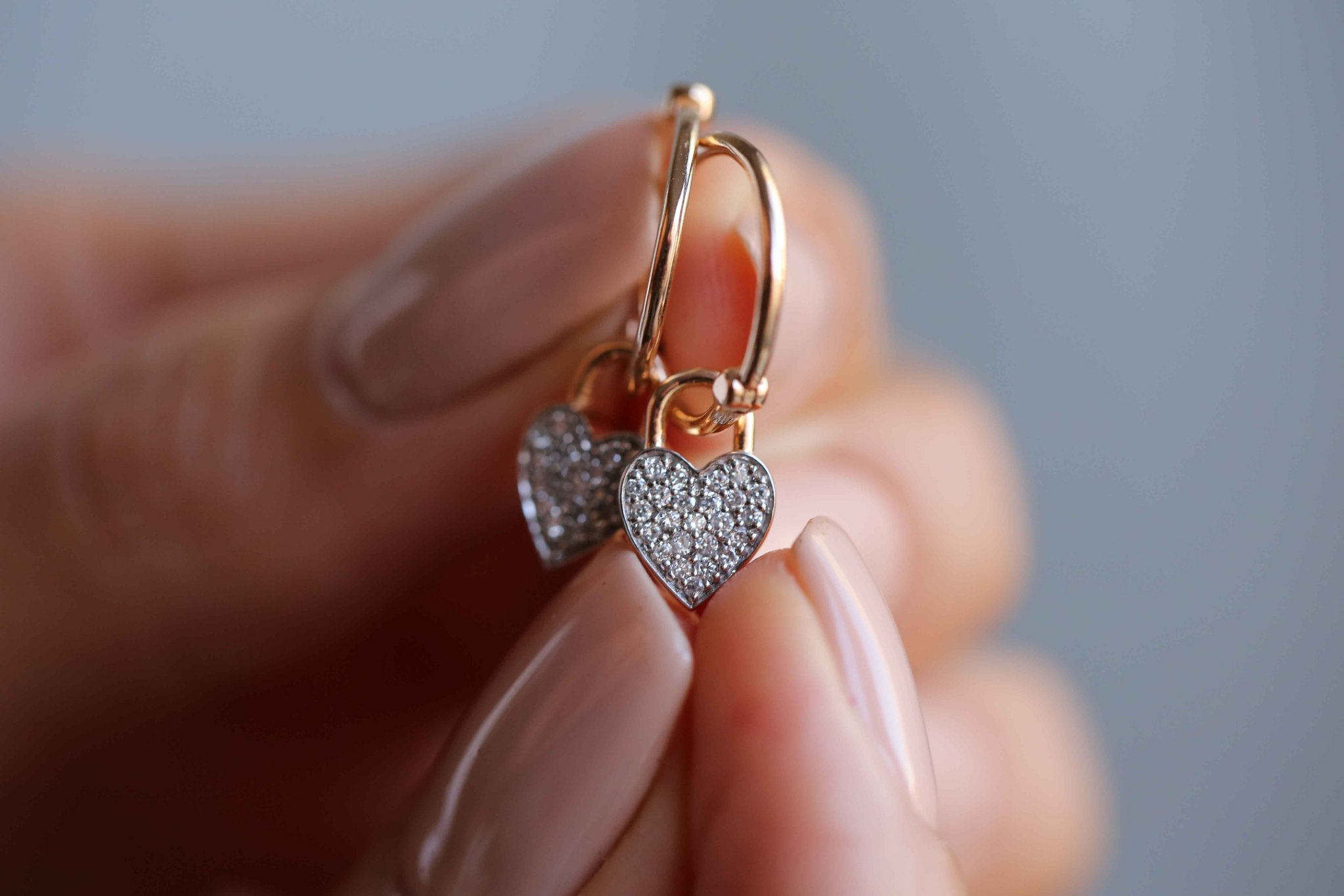25415 Earrings