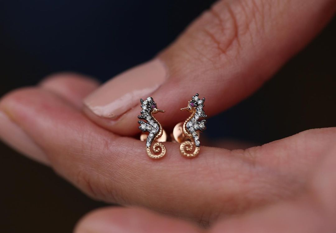25414 Earrings