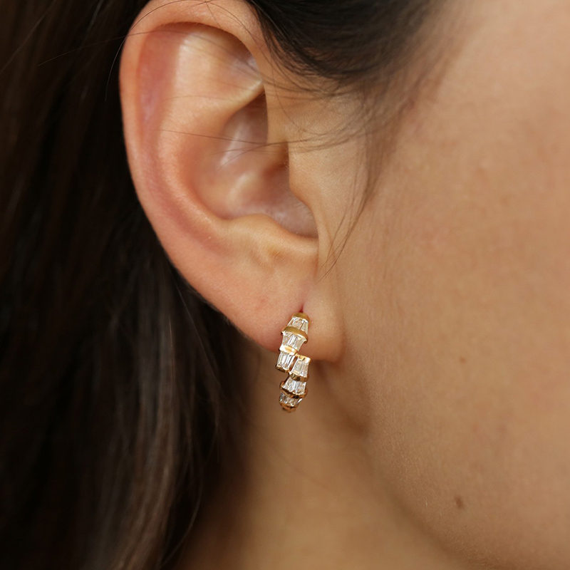 25422 Earrings