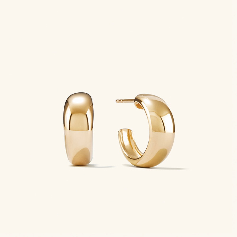 23844 Earrings