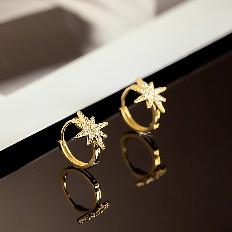 24077 Earrings 