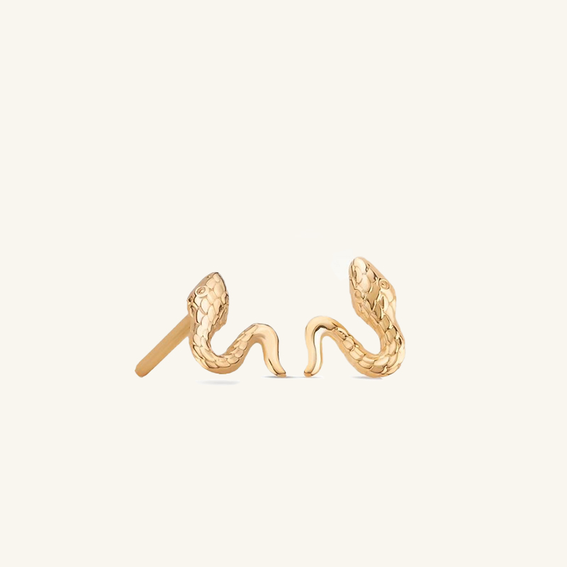 25455 Earrings