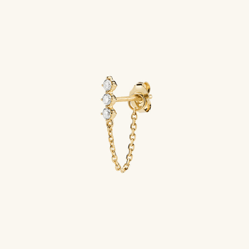 25453 Earrings
