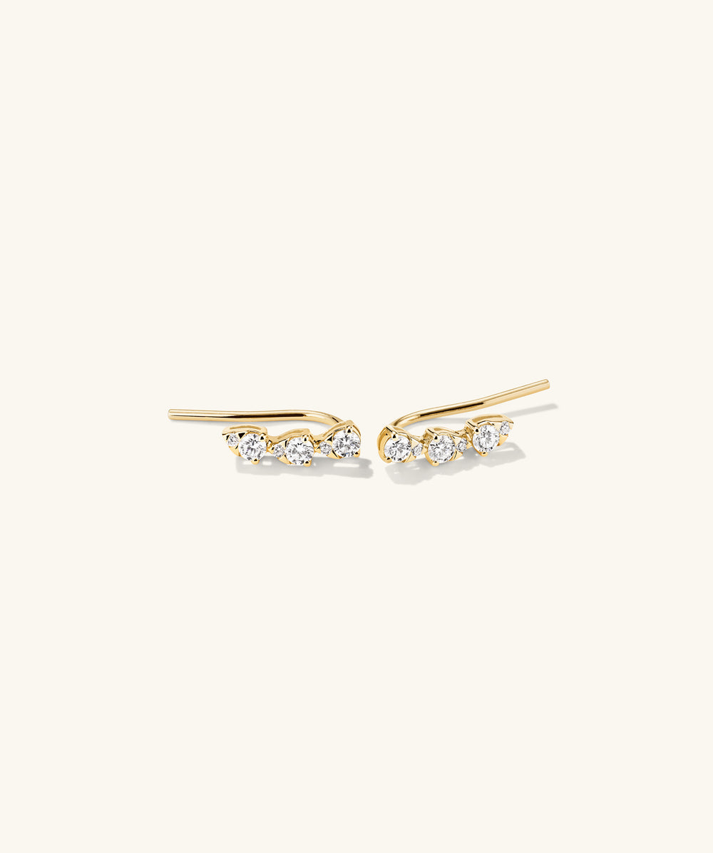 25451 Earrings