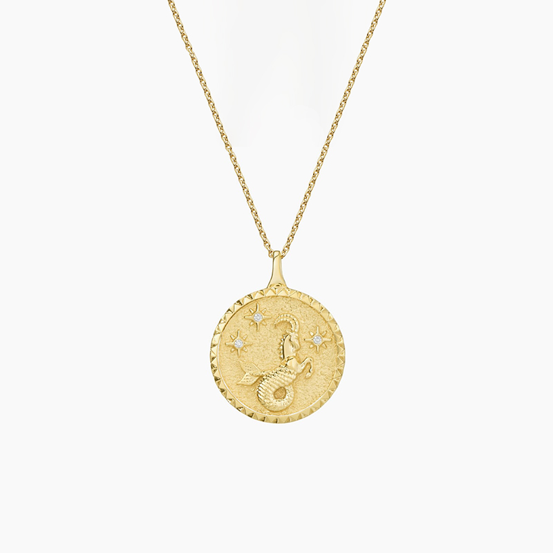 13350 Capricorn  Necklace 