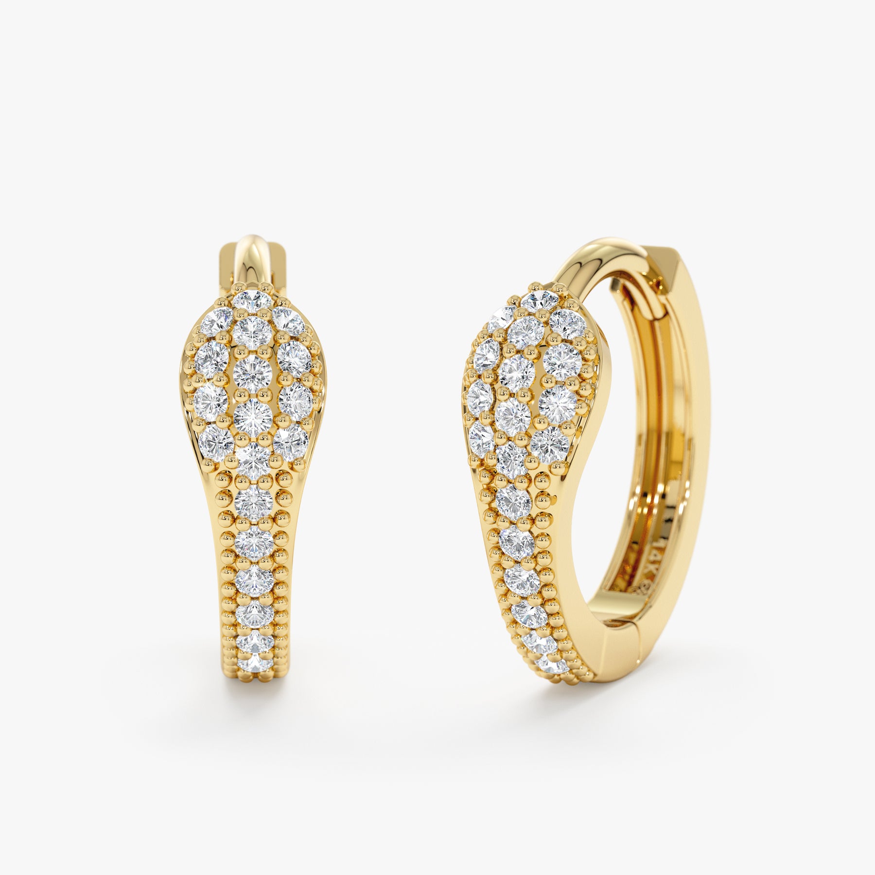 25464 Earrings