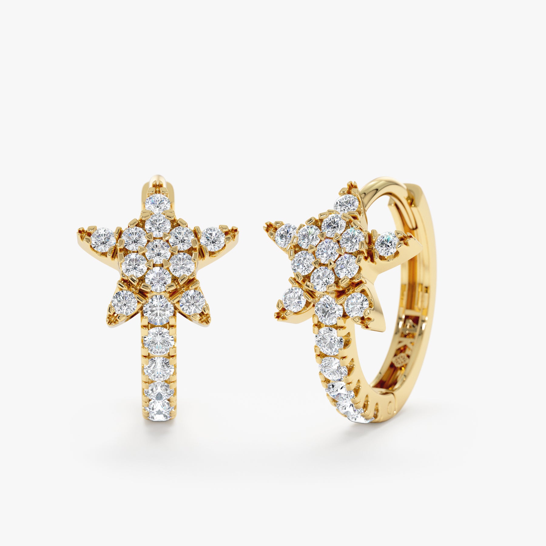 25466 Earrings