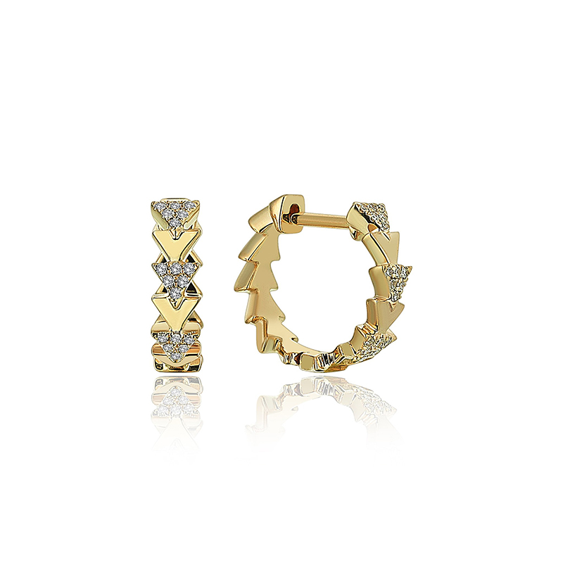 25507 Earrings
