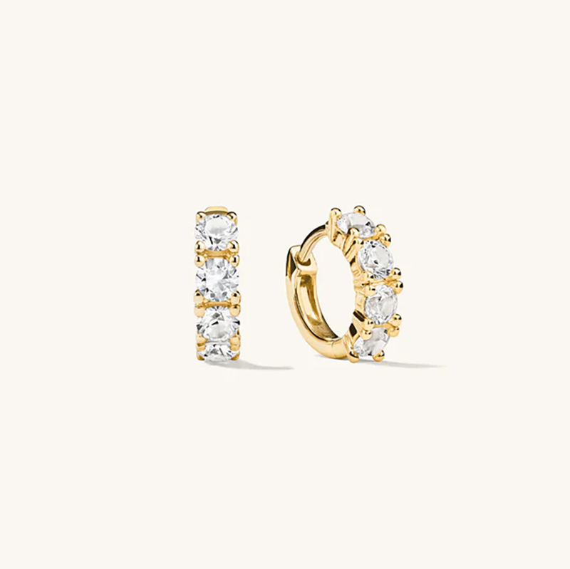 25513 Earrings