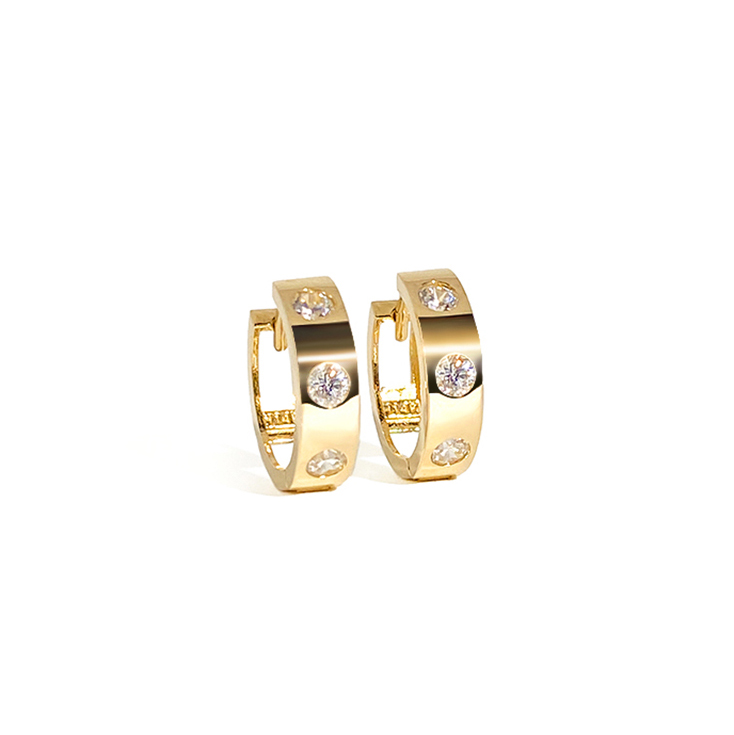 25521 Earrings
