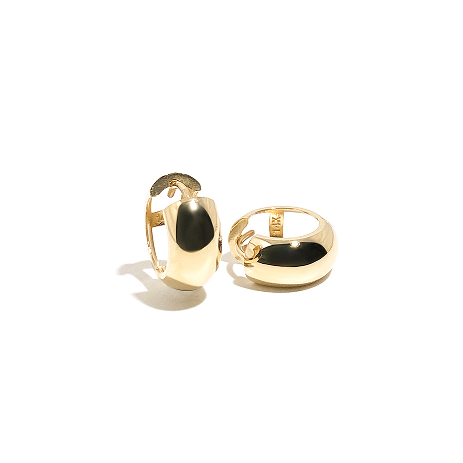 25520 Earrings