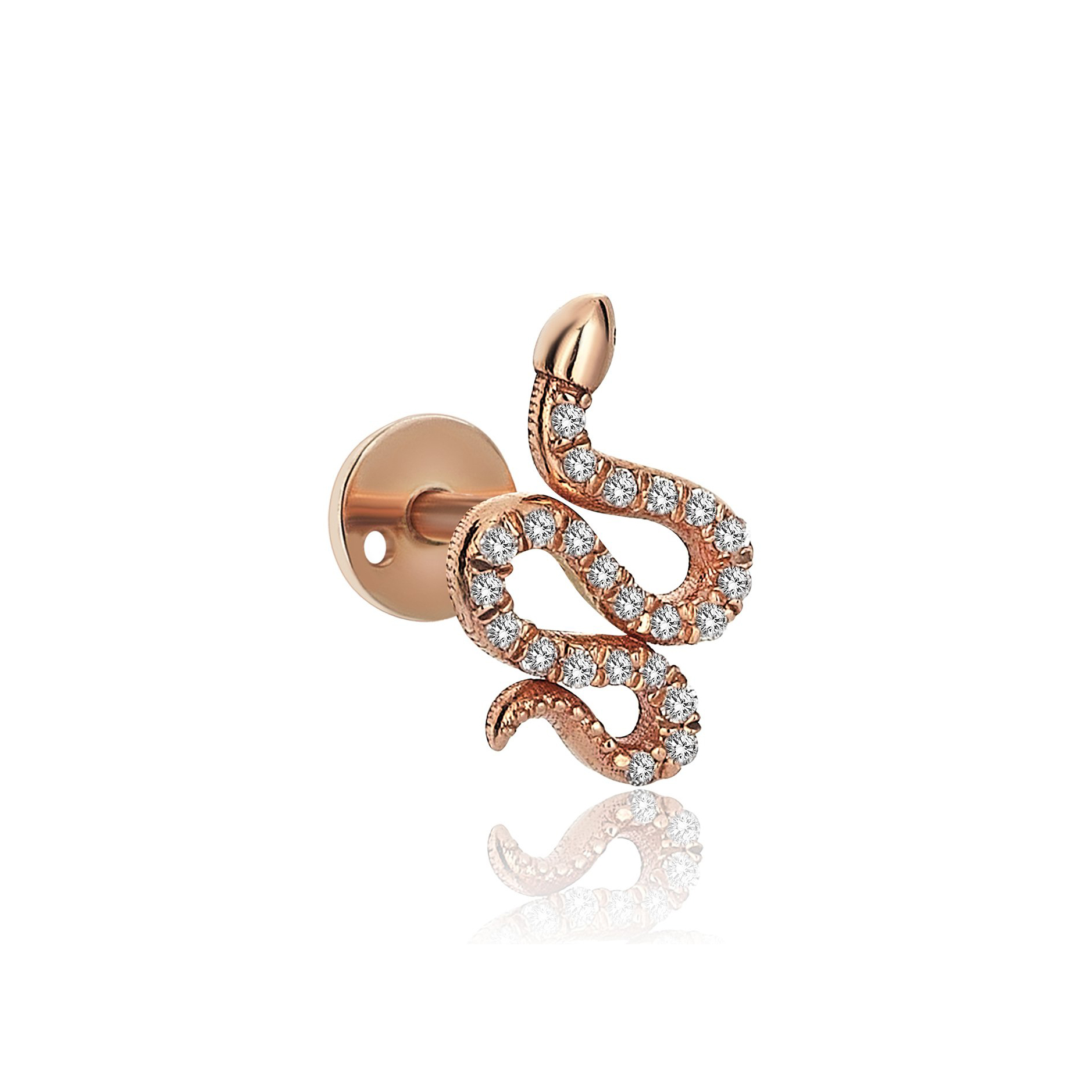25509 Earrings