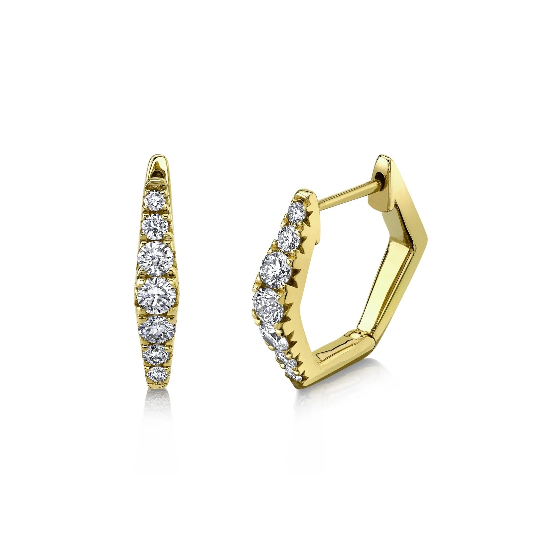 25607 Earrings