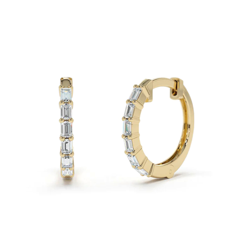 25727 Earrings