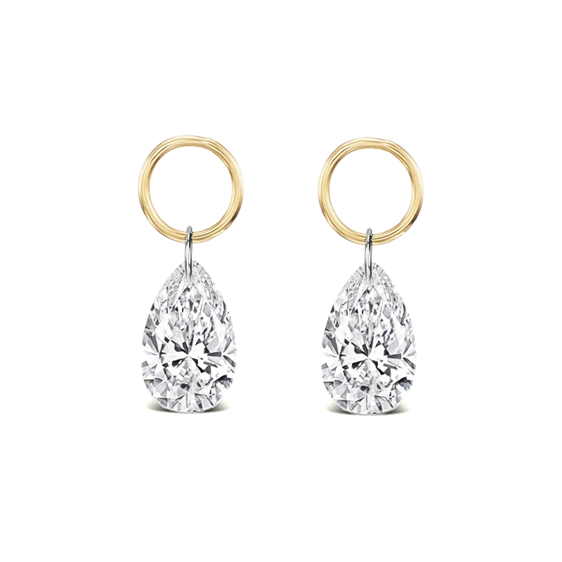 25665 Earrings