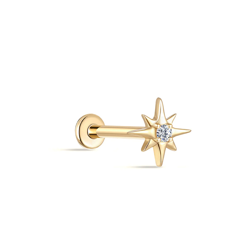 25815 Earrings
