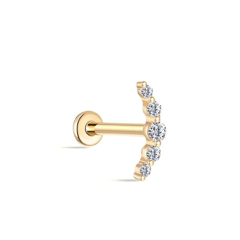 25815 Earrings