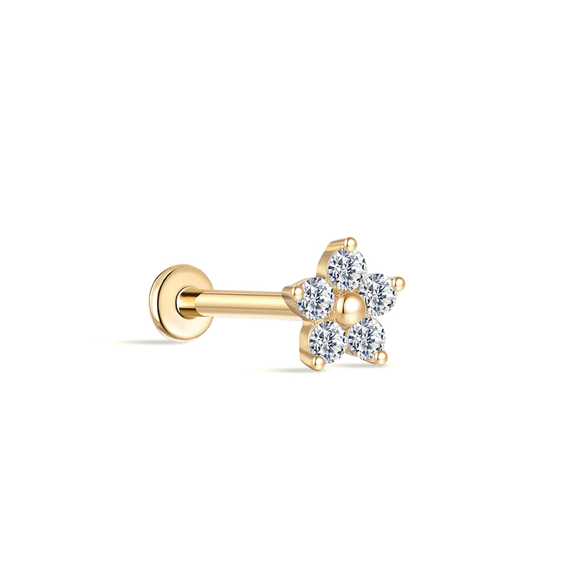 25821 Earrings
