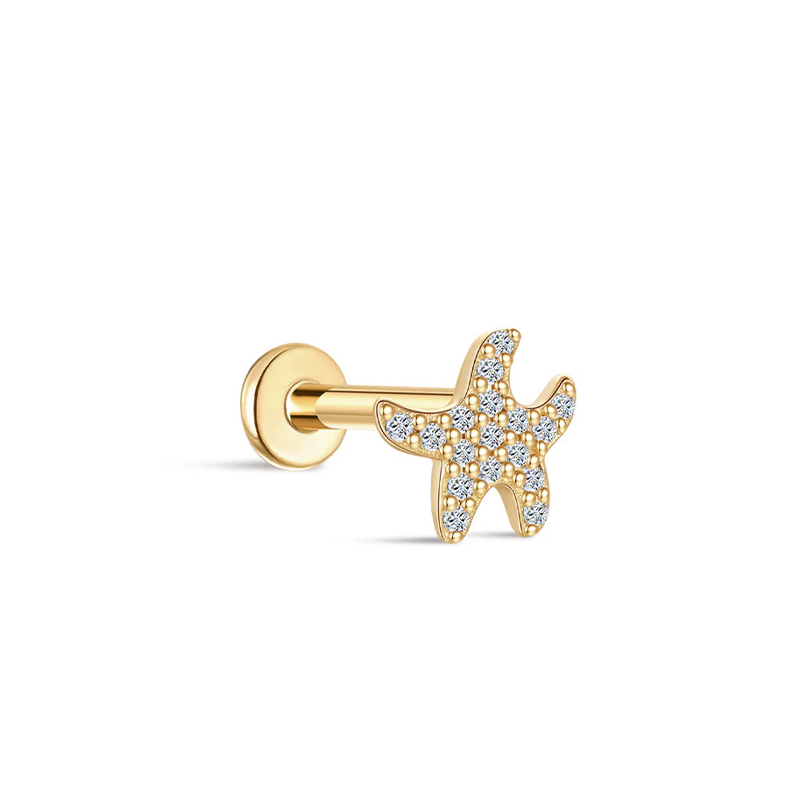 25819 Earrings