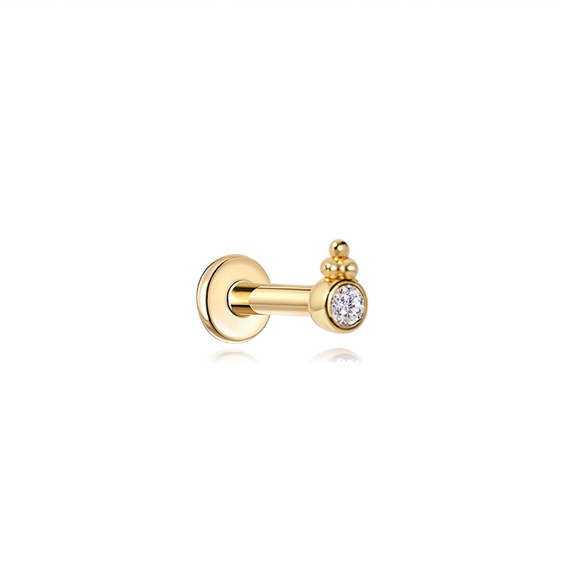 25557 Earrings