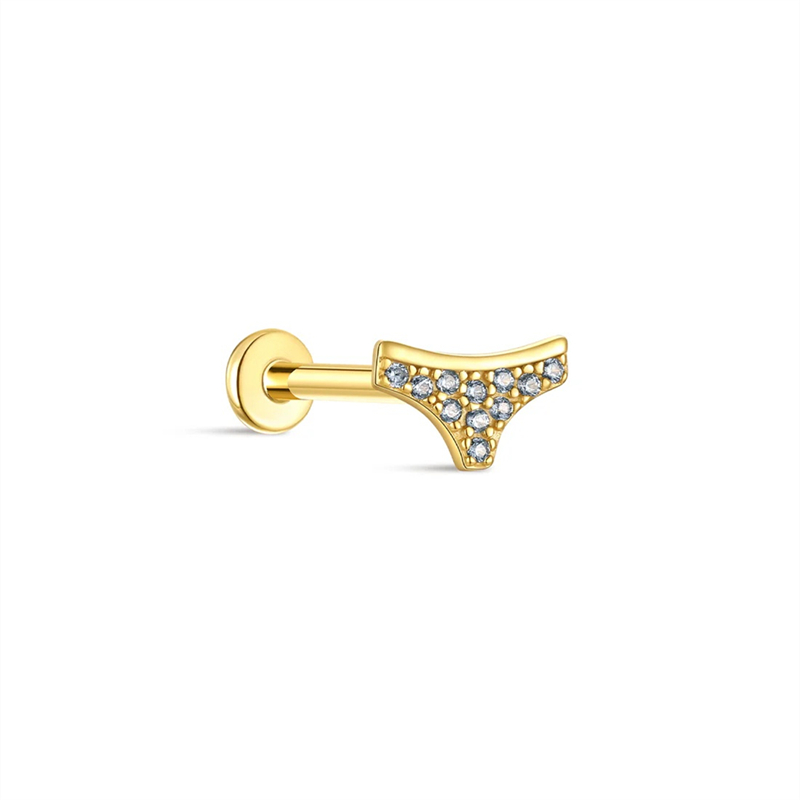 25881 Earrings