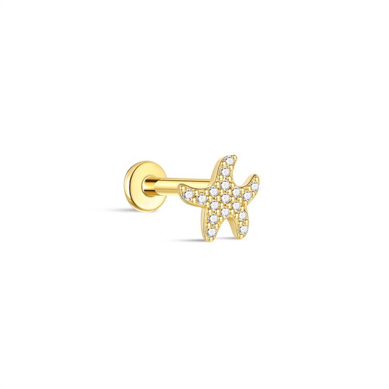 25875 Earrings