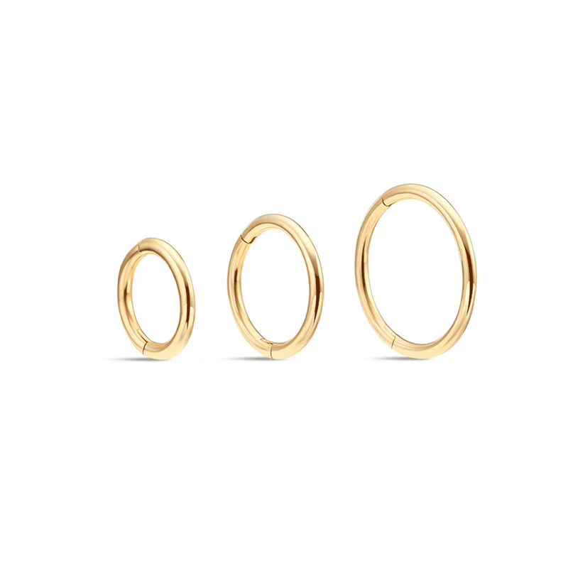25392 Earrings