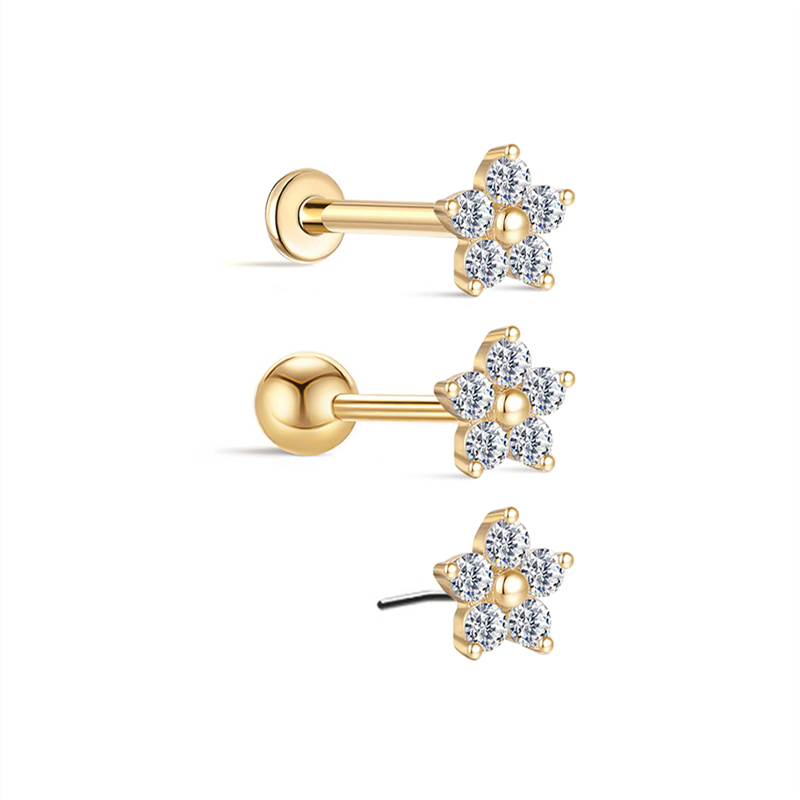 25821 Earrings