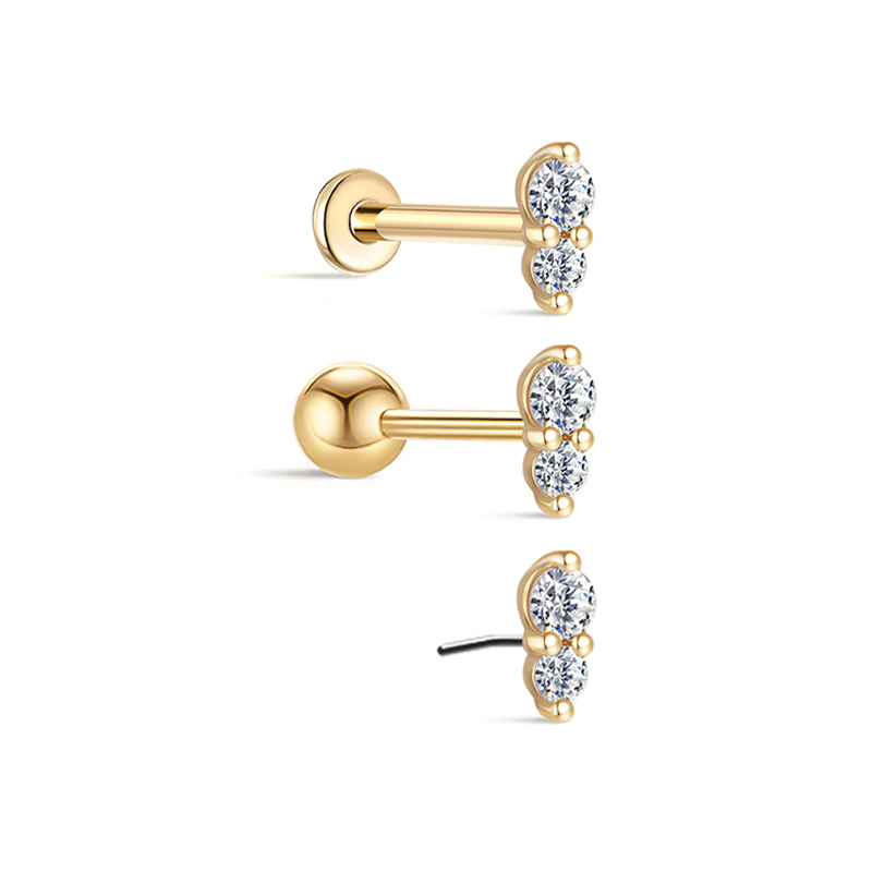 25823 Earrings