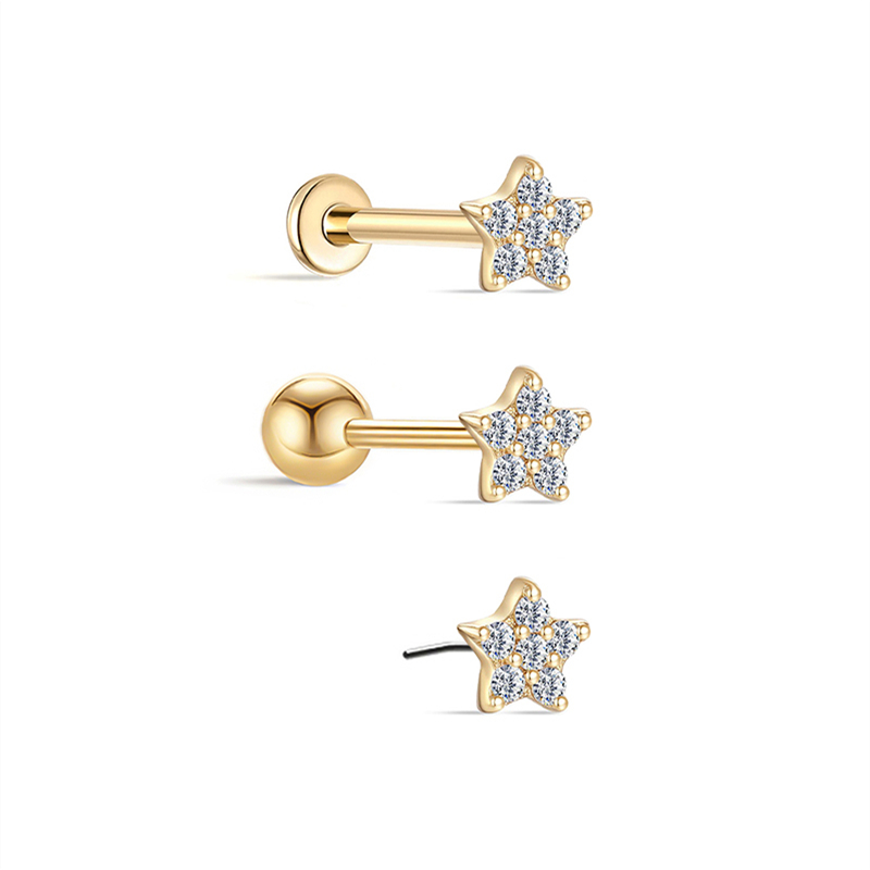 26106 Earrings
