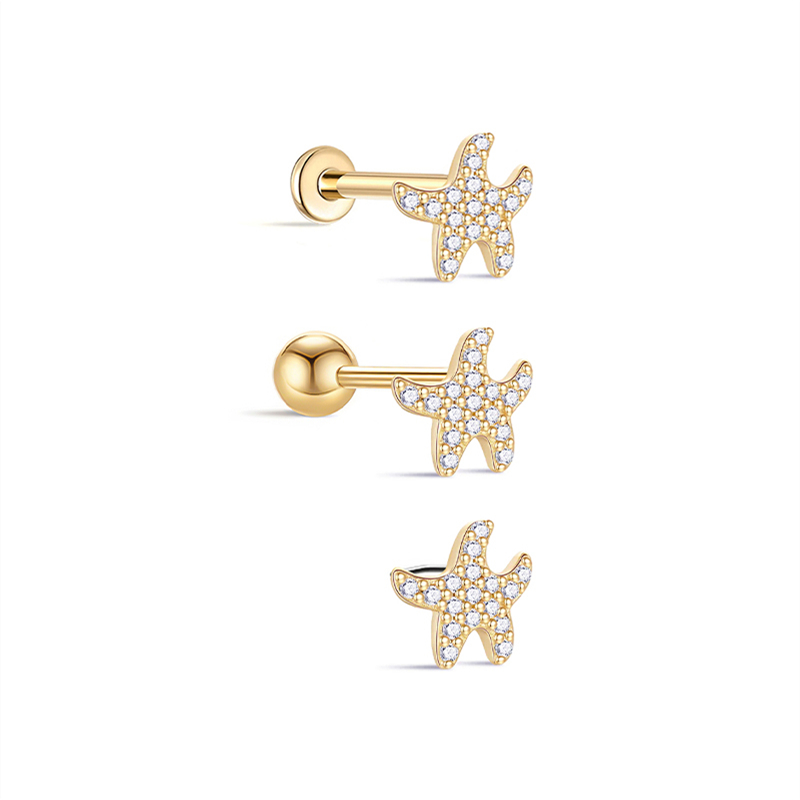 25819 Earrings