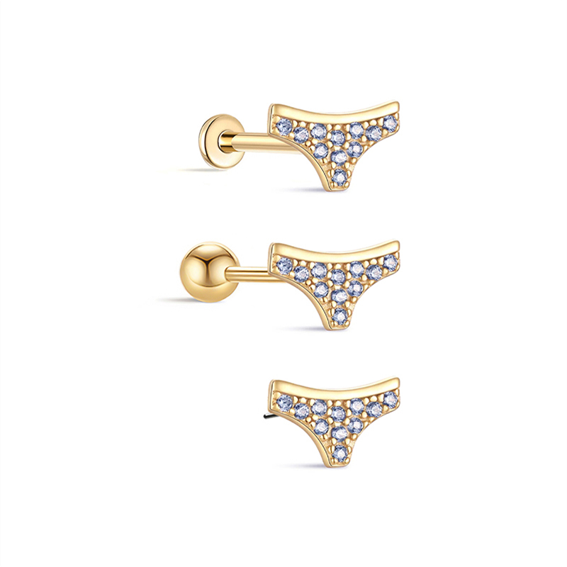 25881 Earrings