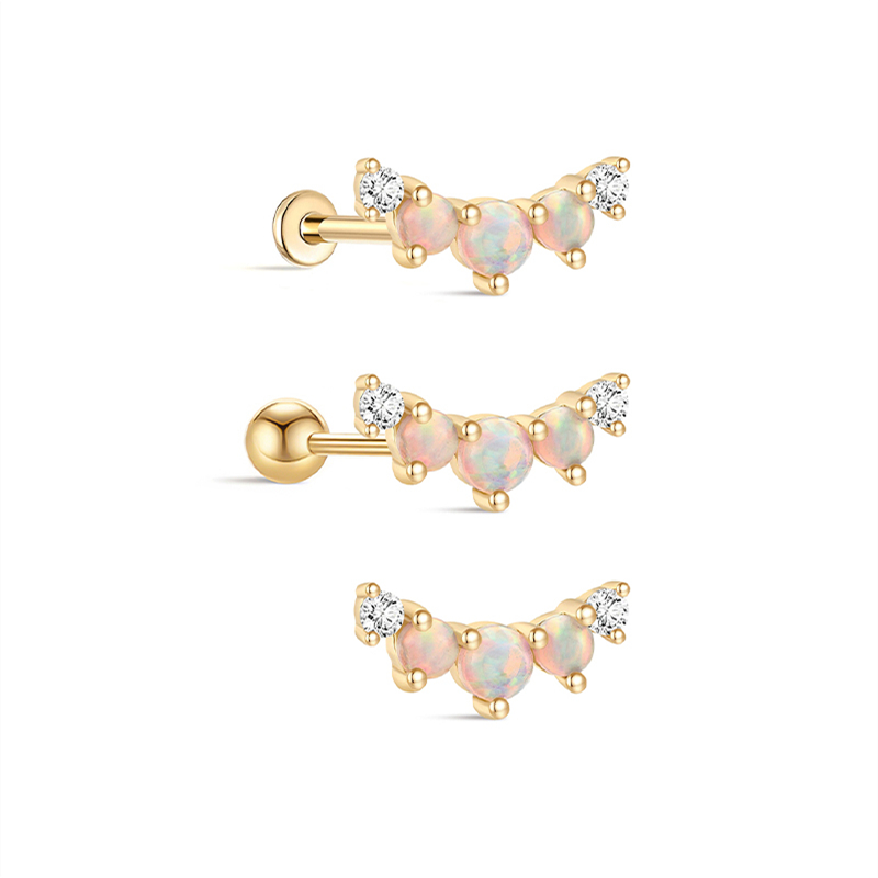 26343 Earrings