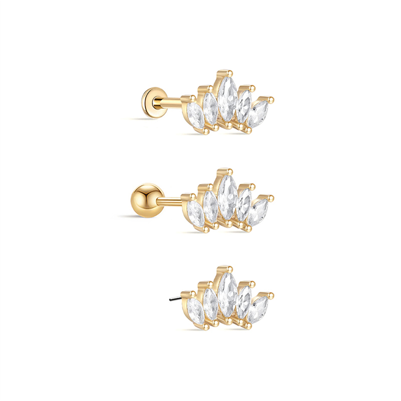 25818 Earrings