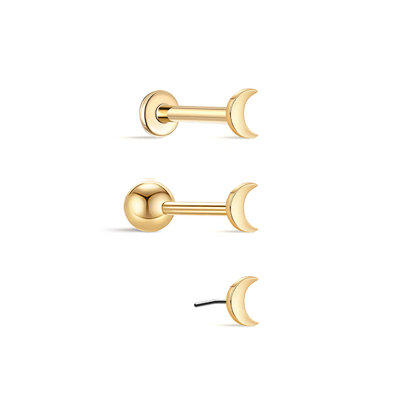 25619 Stud Earrings